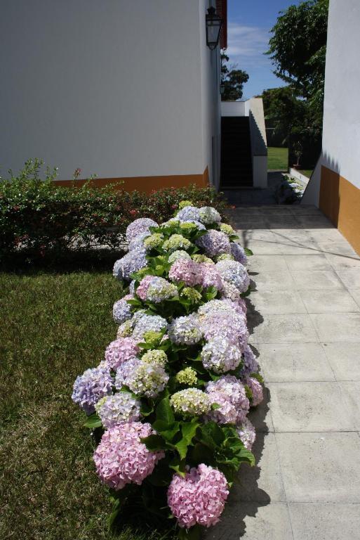 Quinta De Sao Caetano - Sao Miguel Acores Populo  Δωμάτιο φωτογραφία